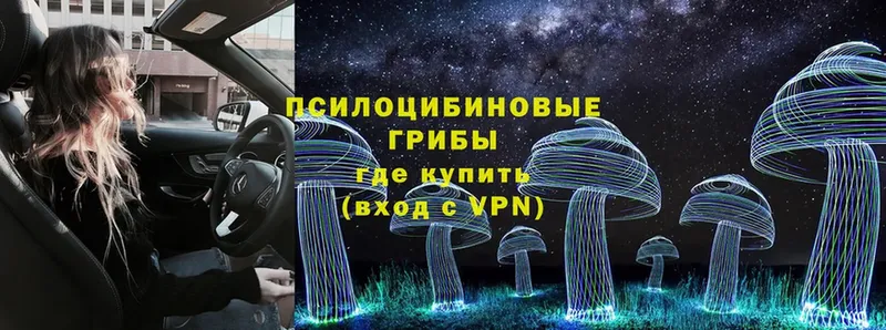 Псилоцибиновые грибы Magic Shrooms  наркота  Калининск 